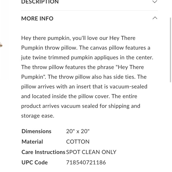 Mud Pie Large Pumpkin Throw Pillow 🆕🍂 - Picture 6 of 7